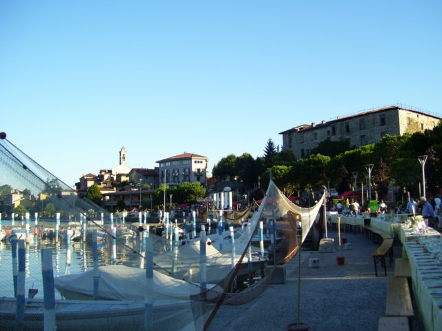 tincolata2007.jpg